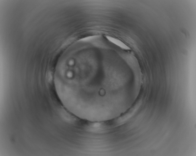 X0000113280382200910131010