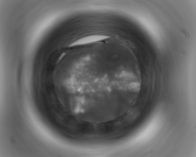 X0000113280383200910131010