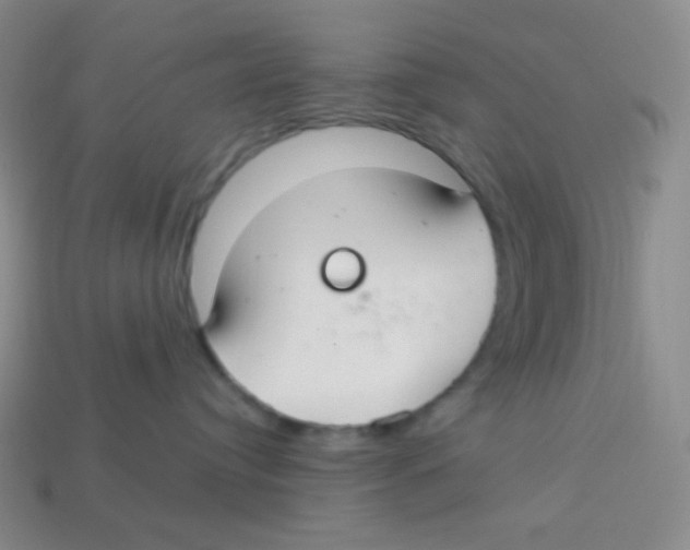X0000113280384200910131010