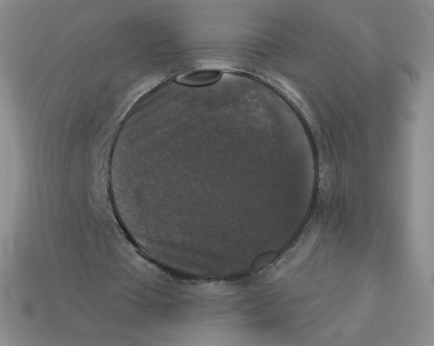 X0000113280385200910131009
