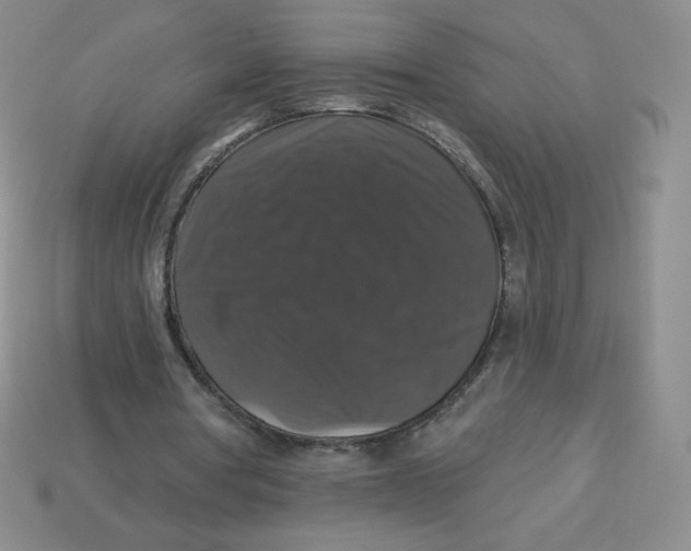 X0000113280386200910131009