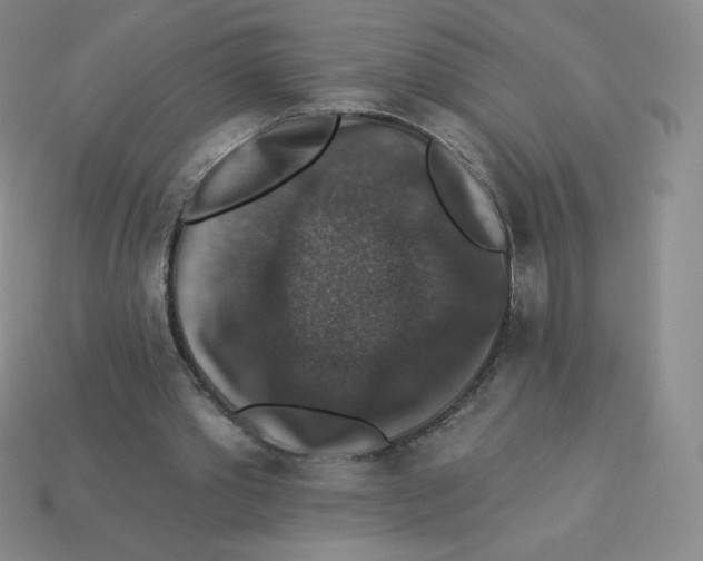 X0000113280389200910131009