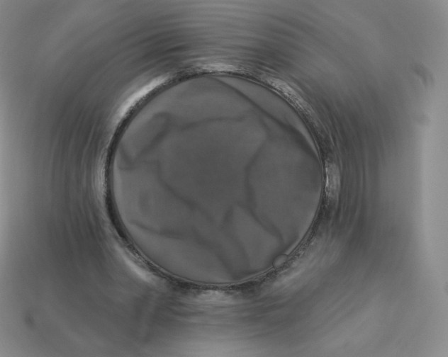 X0000113280390200910131009