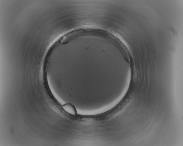 X0000113280391200910131009