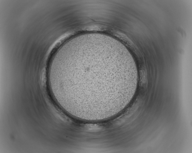 X0000113280392200910131009