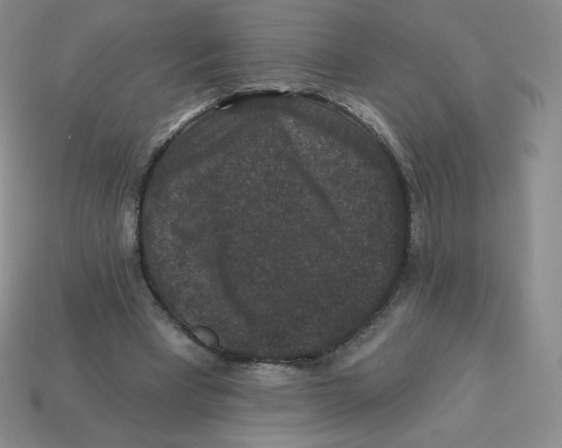 X0000113280393200910131009