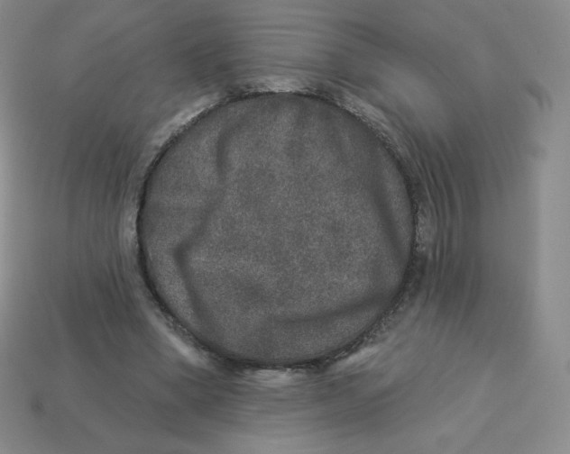 X0000113280394200910131009
