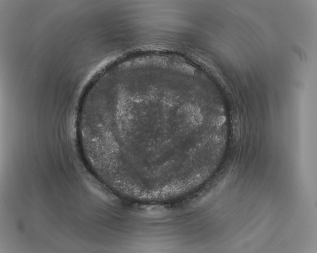 X0000113280395200910131009