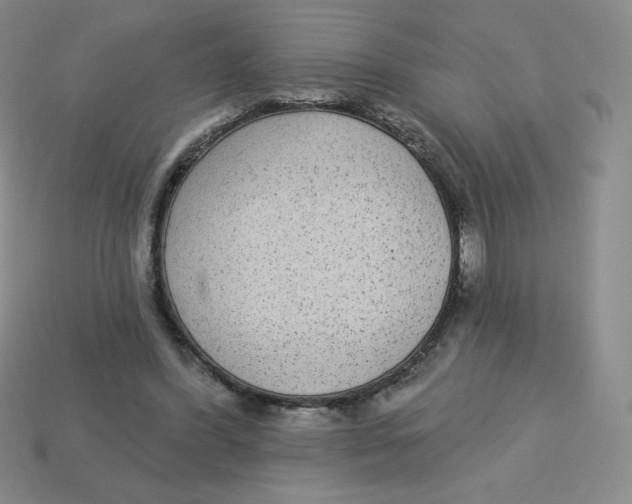 X0000113280396200910131009