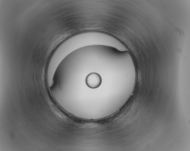 X0000113280397200910131009