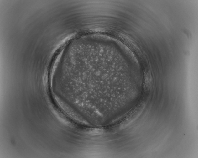 X0000113280398200910131009