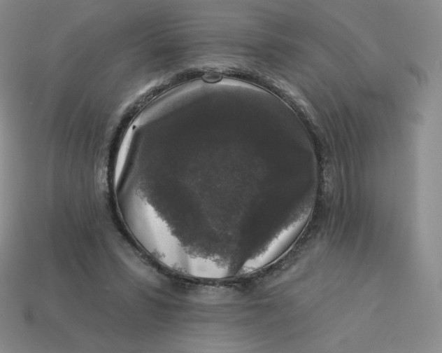 X0000113280399200910131009