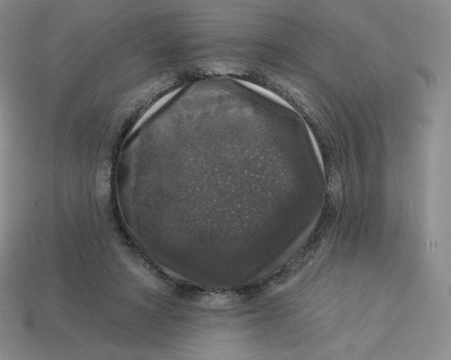 X0000113280402200910131009