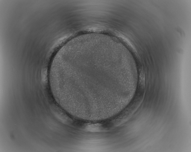 X0000113280403200910131009