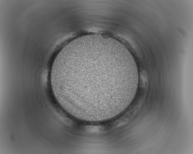 X0000113280404200910131009