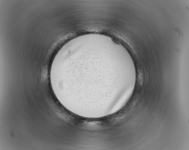 X0000113280407200910131009