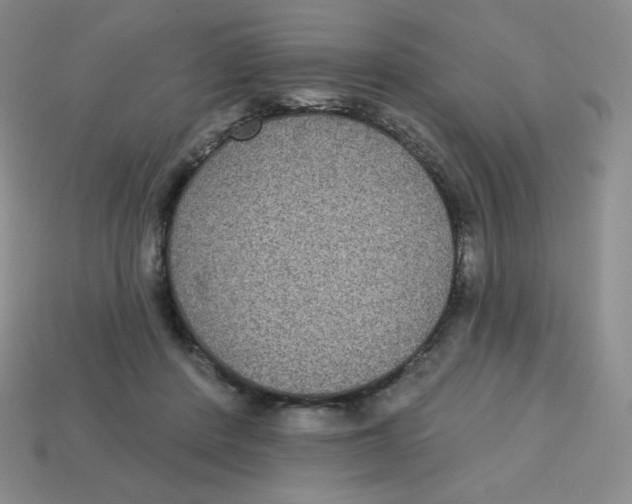 X0000113280408200910131009