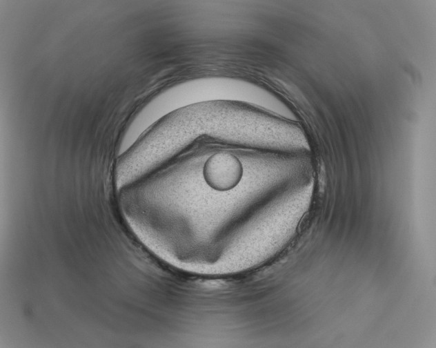 X0000113280409200910131009