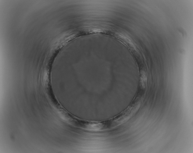 X0000113280410200910131009