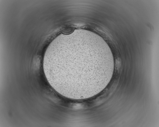 X0000113280412200910131009