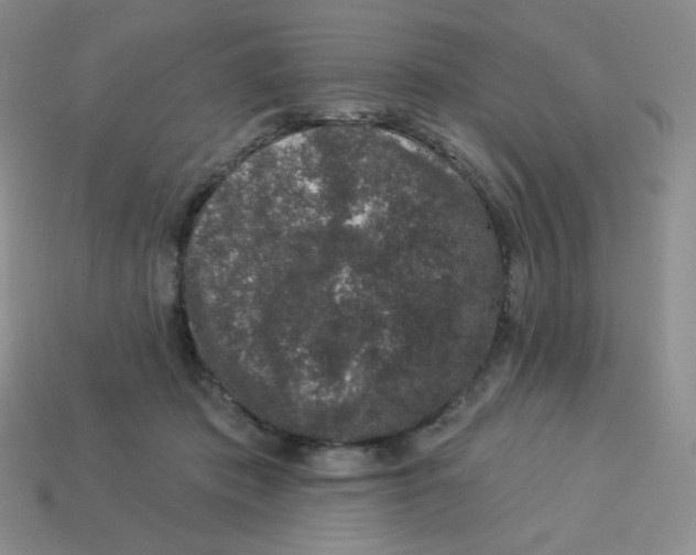 X0000113280413200910131009