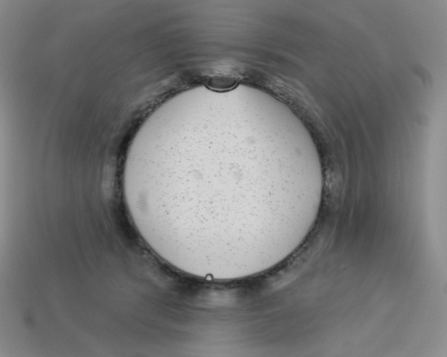 X0000113280416200910131009