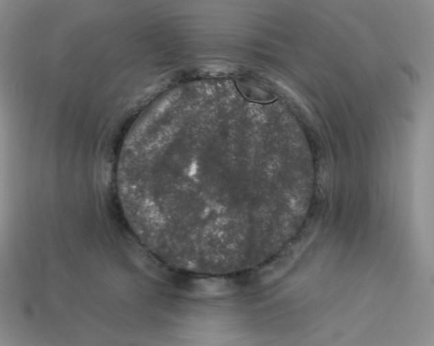 X0000113280417200910131009