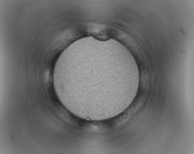 X0000113280420200910131009