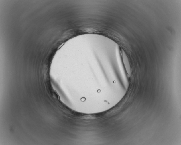 X0000113280421200910131009