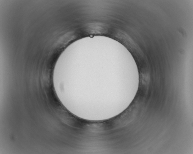 X0000113280422200910131009