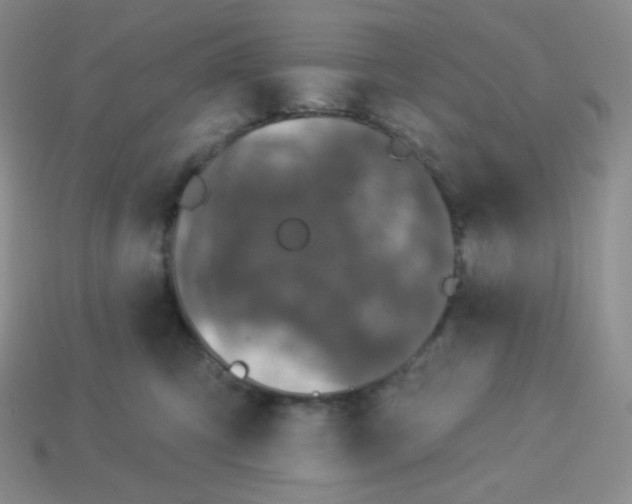 X0000113280423200910131009