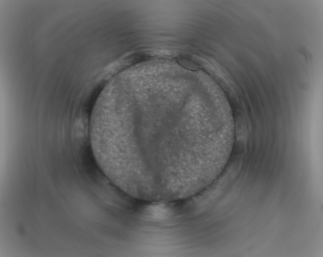 X0000113280425200910131009