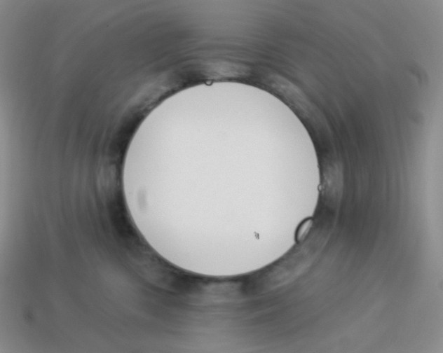 X0000113280426200910131009