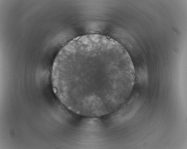 X0000113280427200910131009