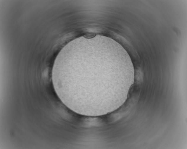X0000113280428200910131009