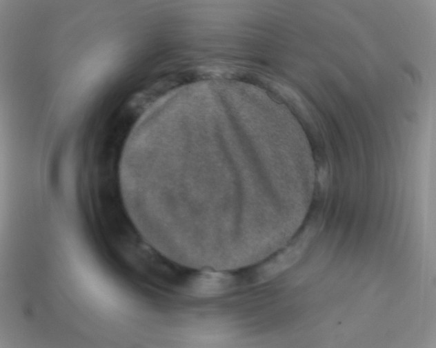 X0000113280429200910131009