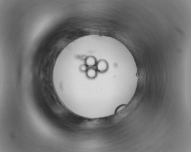 X0000113280430200910131009