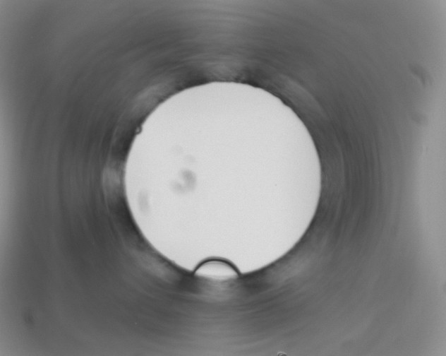 X0000113280432200910131009