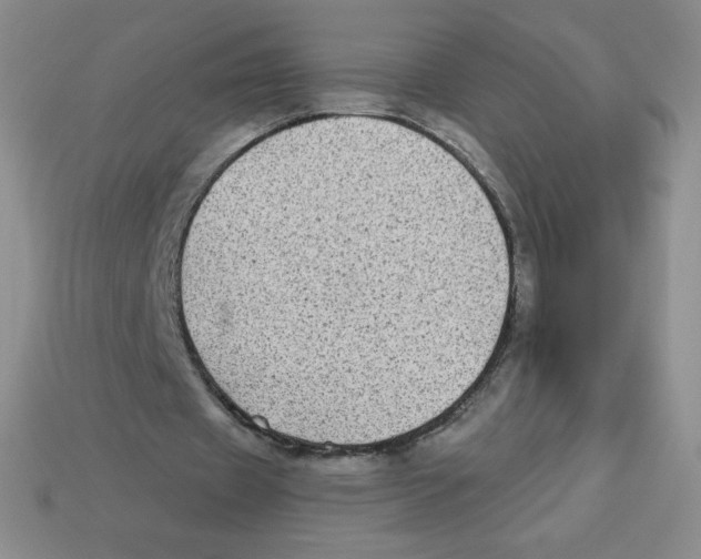 X0000113280433200910131008