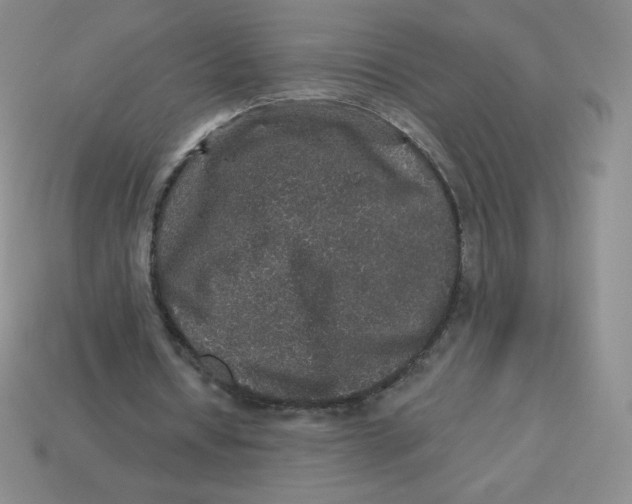 X0000113280434200910131008