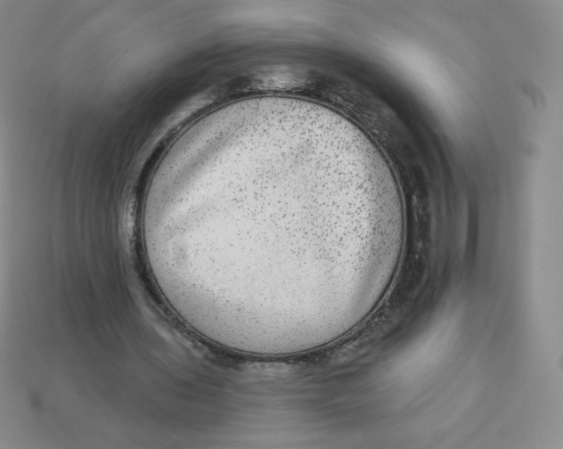 X0000113280435200910131008