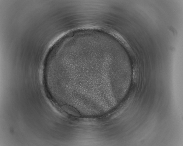 X0000113280436200910131008