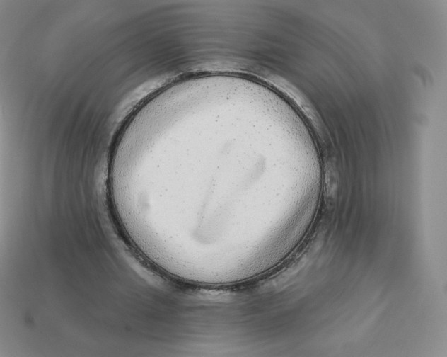 X0000113280437200910131008