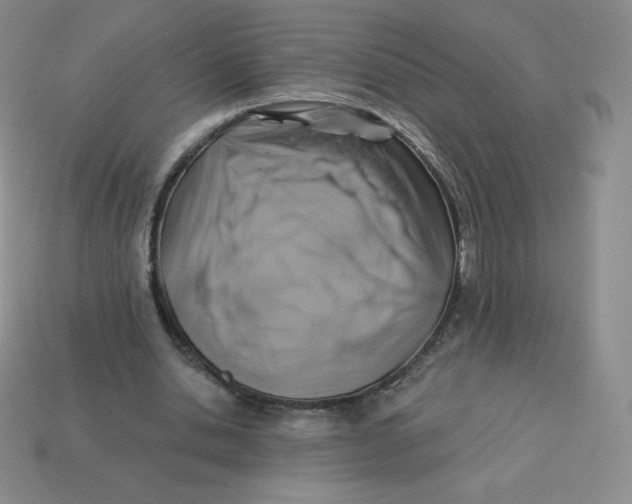 X0000113280438200910131008