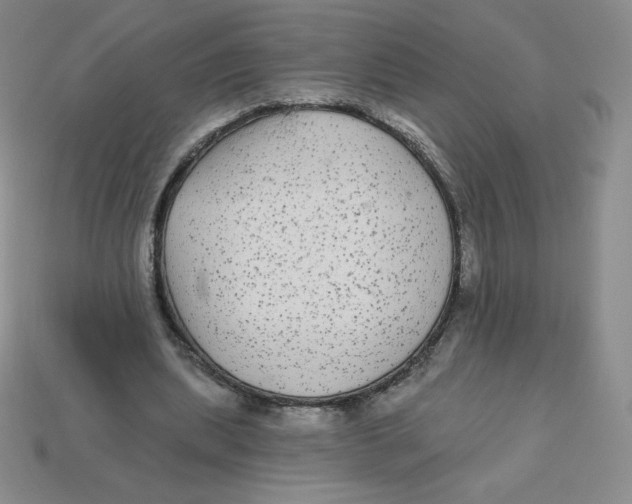 X0000113280439200910131008