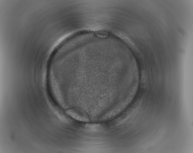 X0000113280440200910131008