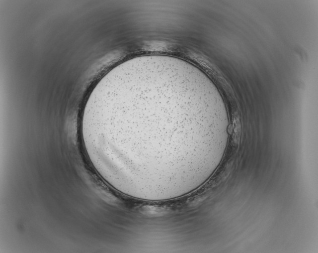 X0000113280442200910131008