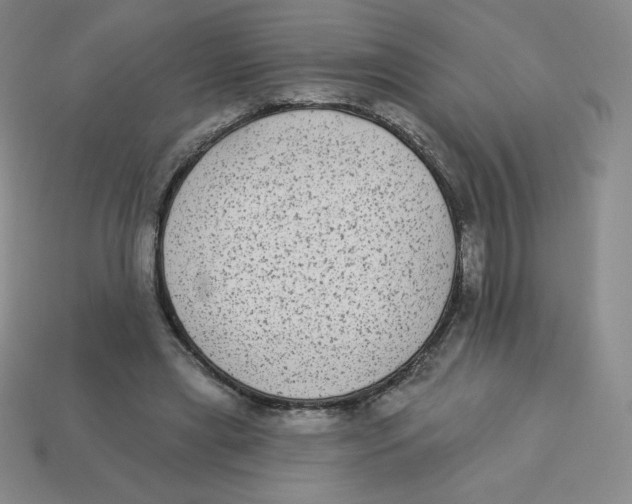 X0000113280445200910131008