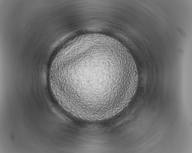 X0000113280446200910131008