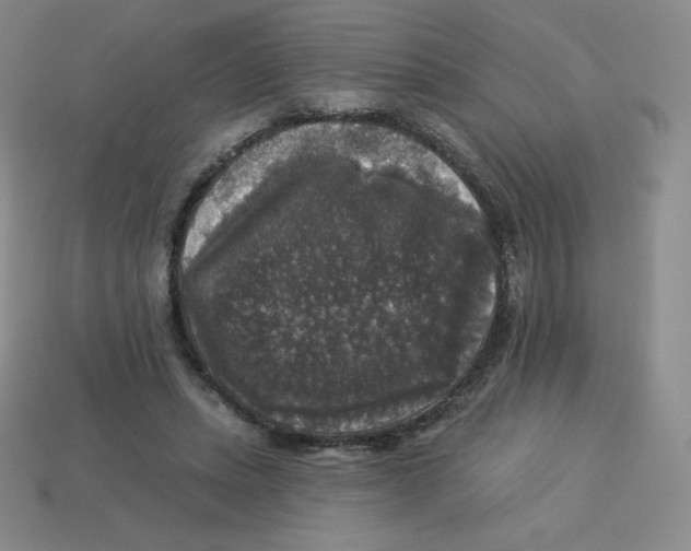X0000113280447200910131008